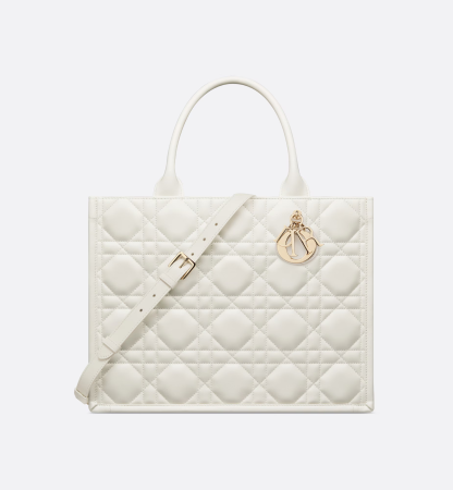 Medium Dior Book Tote